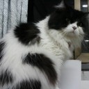 สมาชิกหมายเลข 834783