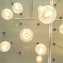 สมาชิกหมายเลข 750484