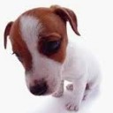 สมาชิกหมายเลข 1559096