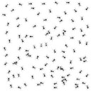 เด็กที่อยู่ในหลืบ