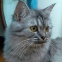 สมาชิกหมายเลข 2357140