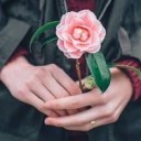 สมาชิกหมายเลข 2261237