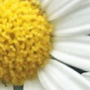 สมาชิกหมายเลข 3204058