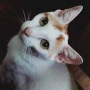 สมาชิกหมายเลข 1976517