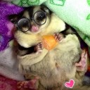 อ้วนกะอ้วน