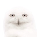 สมาชิกหมายเลข 1150950