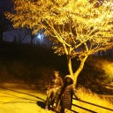 สมาชิกหมายเลข 1150975