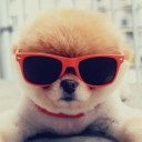 สมาชิกหมายเลข 3157775