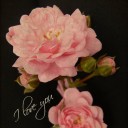 สมาชิกหมายเลข 751710