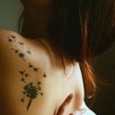 สมาชิกหมายเลข 1151371