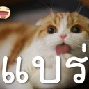 สมาชิกหมายเลข 970018