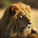 สมาชิกหมายเลข 3205161