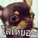 สมาชิกหมายเลข 1560574