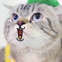 สมาชิกหมายเลข 1479490