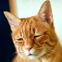 สมาชิกหมายเลข 1991079