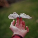 สมาชิกหมายเลข 2384915