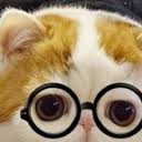 สมาชิกหมายเลข 2782110