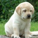 สมาชิกหมายเลข 734159