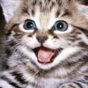 สมาชิกหมายเลข 752411