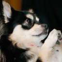 สมาชิกหมายเลข 1643738