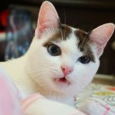 สมาชิกหมายเลข 1991247