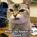 นักปราชญ์มโนปะโลมโลก