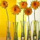 สมาชิกหมายเลข 3206360