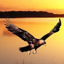 สมาชิกหมายเลข 1261174