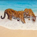 สมาชิกหมายเลข 1548098