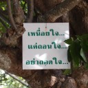 สมาชิกหมายเลข 1083763