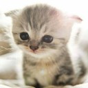 สมาชิกหมายเลข 3192817