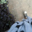 สมาชิกหมายเลข 752817