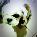 สมาชิกหมายเลข 1153517