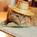 เกิร์ลสีชมพู