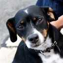 สมาชิกหมายเลข 871695