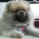 สมาชิกหมายเลข 2782917