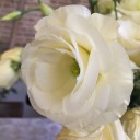 ช้องนาง.