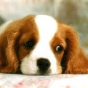 สมาชิกหมายเลข 1060316