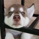 สมาชิกหมายเลข 913838