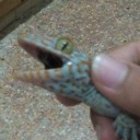 สมาชิกหมายเลข 2435592