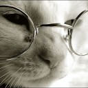 แม่เหมียวเนื้อแน่น