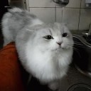 สมาชิกหมายเลข 1154325