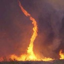 สมาชิกหมายเลข 1302065