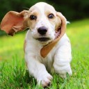 สมาชิกหมายเลข 2386741