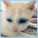 สมาชิกหมายเลข 738075