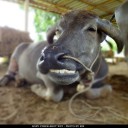 ร่างกายที่ไม่สบาย