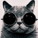 สมาชิกหมายเลข 754614