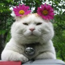 ^องค์หญิงยิ้มหวาน^