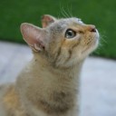 สมาชิกหมายเลข 828448