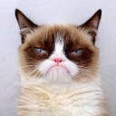 สมาชิกหมายเลข 2379910